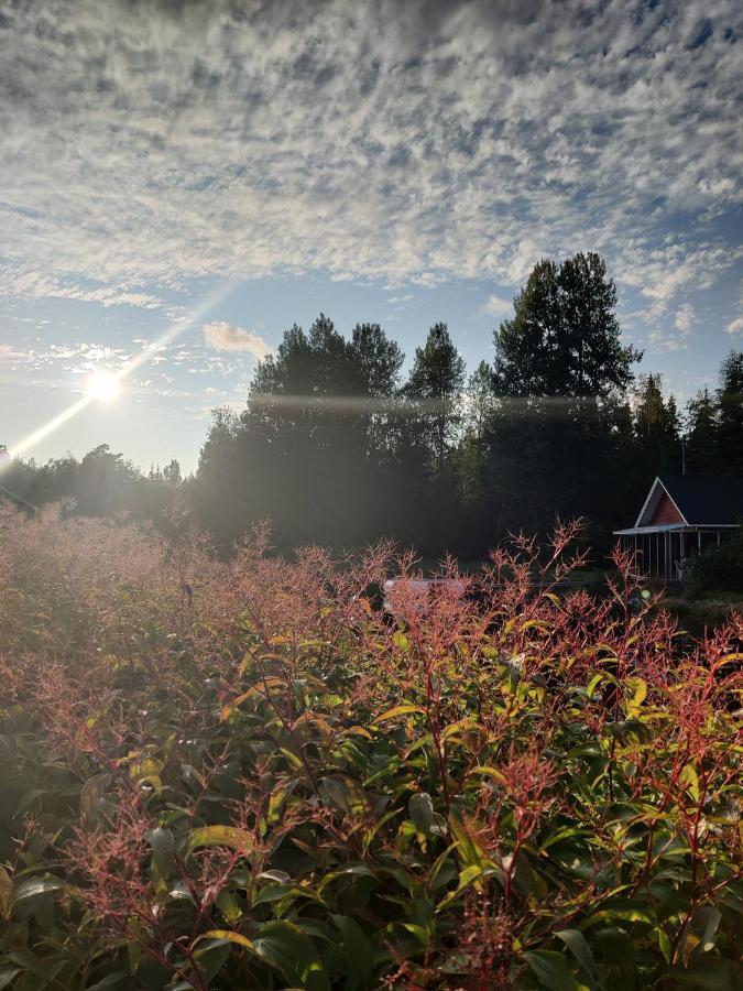 Hannunluhdan Lomamoekit Karijoki Exterior photo